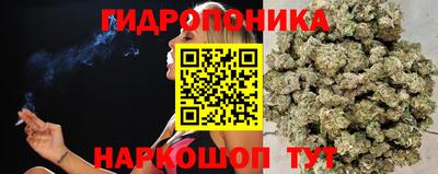 а пвп мука Гагарин