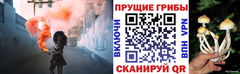 Галлюциногенные грибы прущие грибы  Хабаровск 