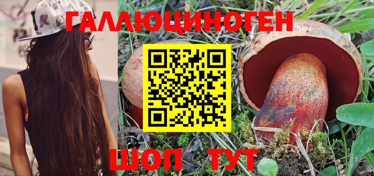 Галлюциногенные грибы Psilocybe Хабаровск